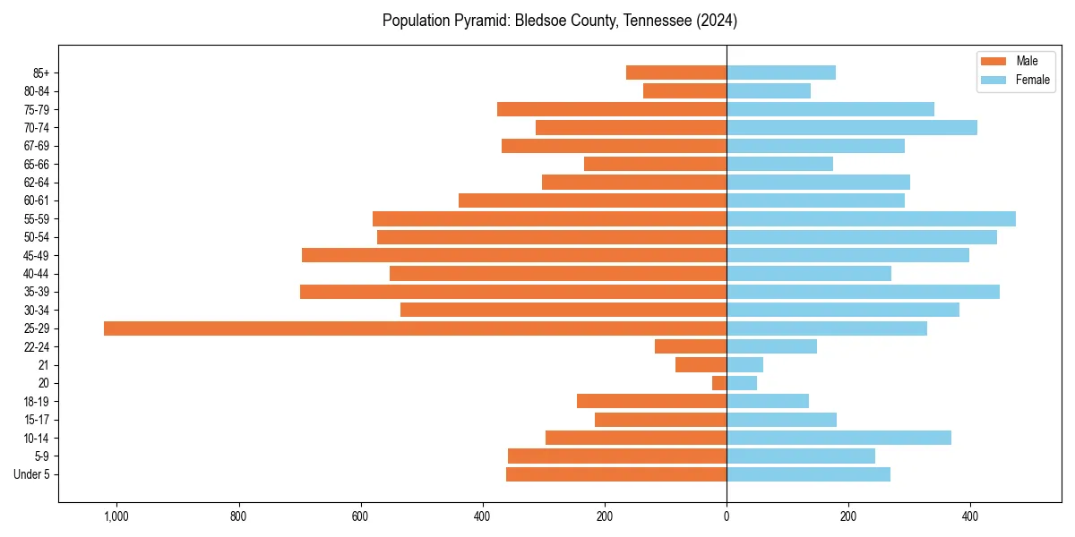 Population pyramid for 