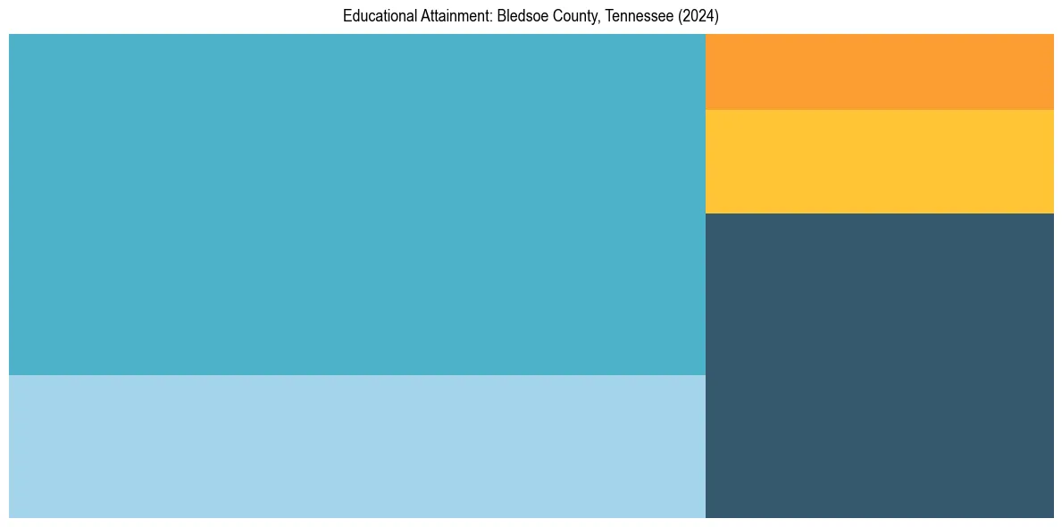 Education Treemap for  in 2024