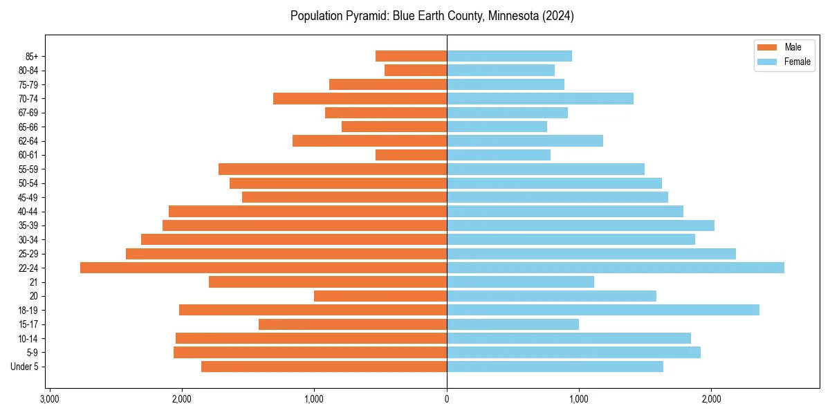 Population pyramid for 