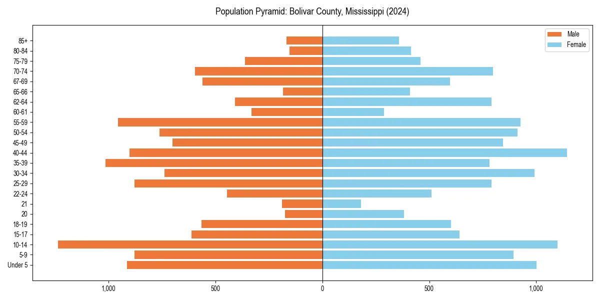 Population pyramid for 