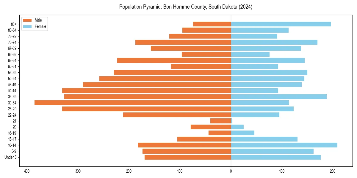 Population pyramid for 