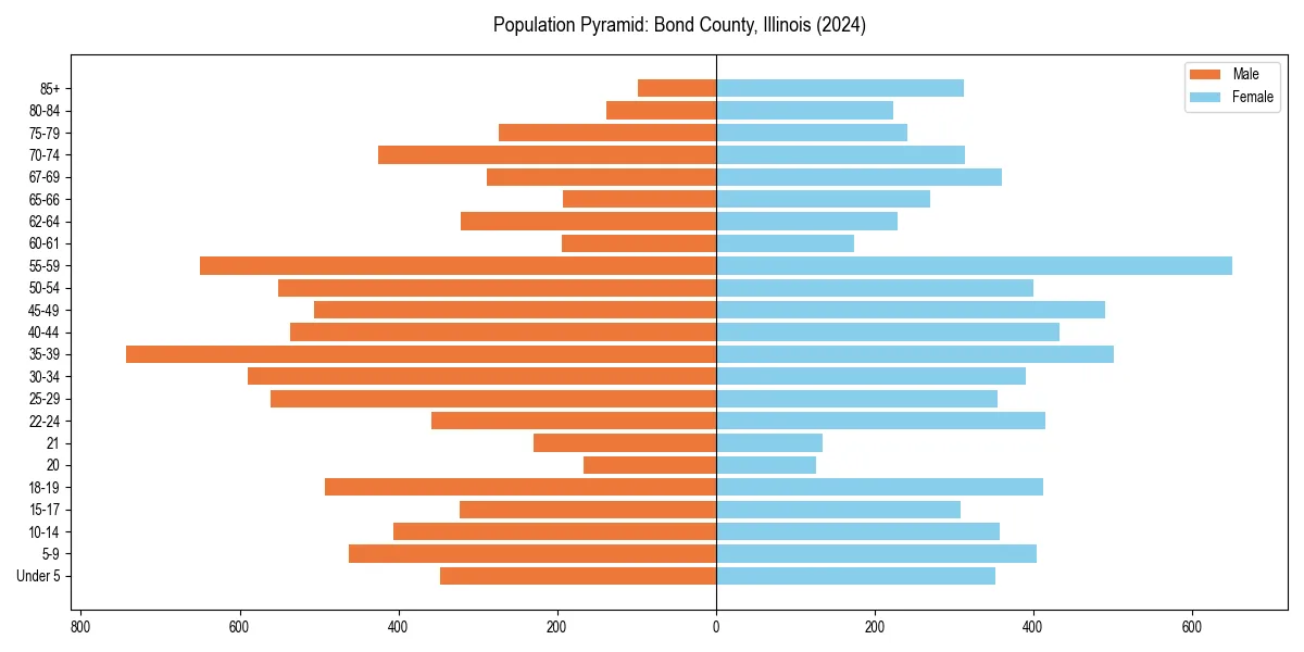 Population pyramid for 