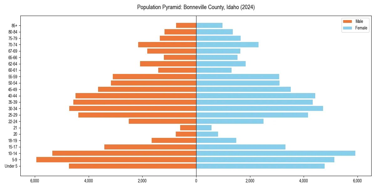 Population pyramid for 