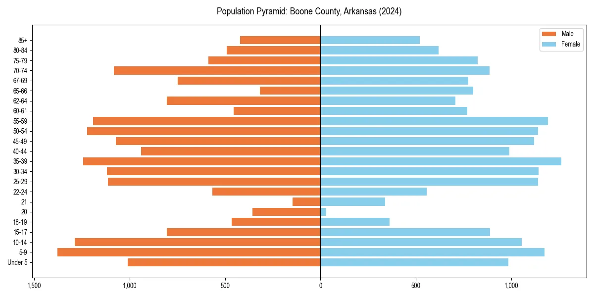 Population pyramid for 