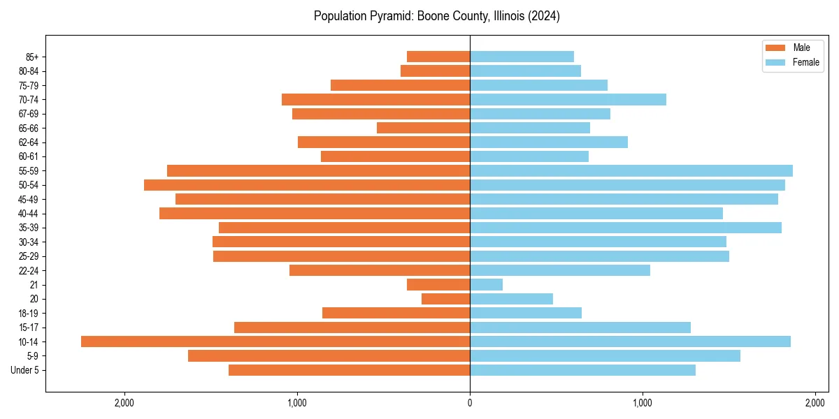 Population pyramid for 