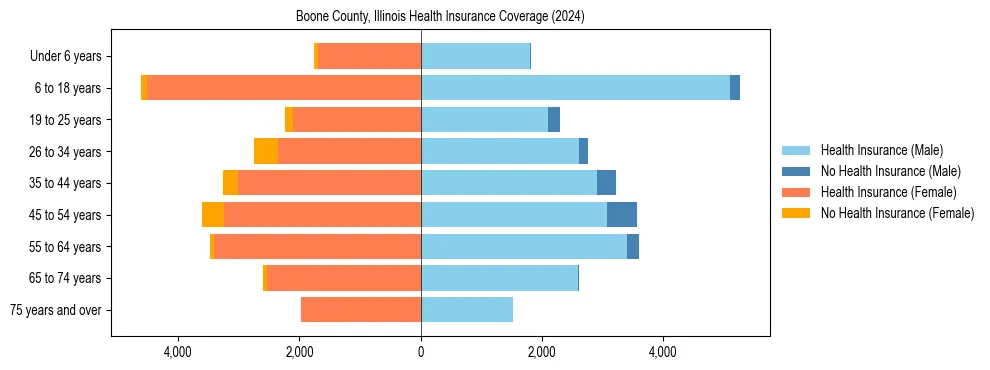 Health insurance pyramid for Boone County, Illinois
