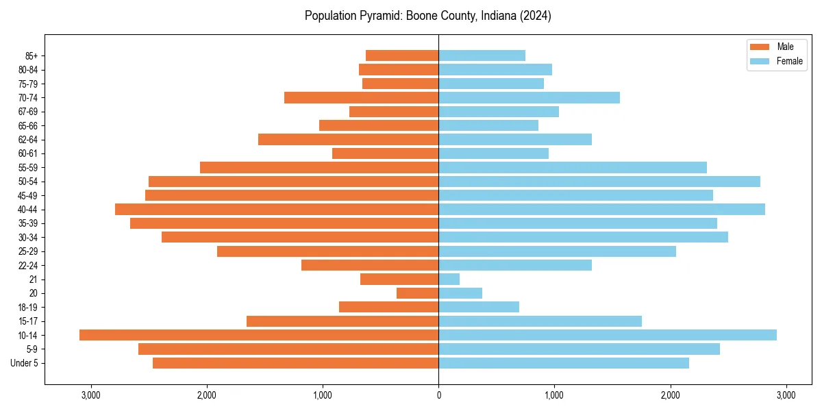 Population pyramid for 