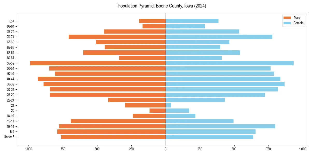 Population pyramid for 