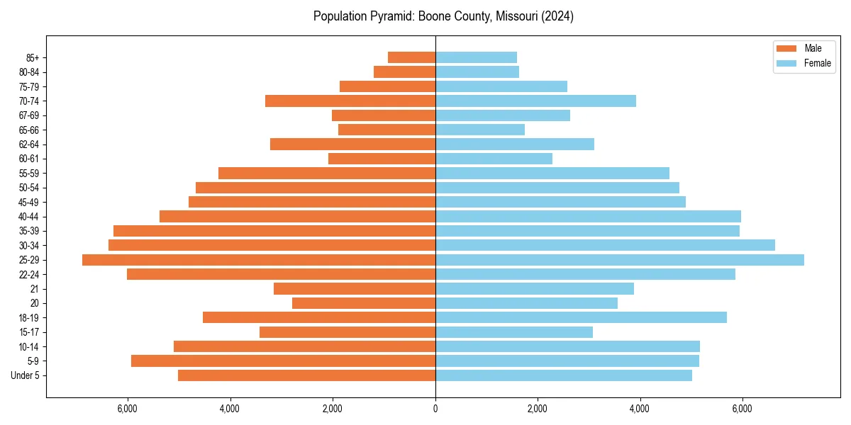Population pyramid for 