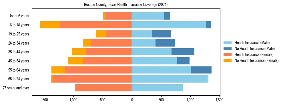 Health insurance pyramid for Bosque County, Texas