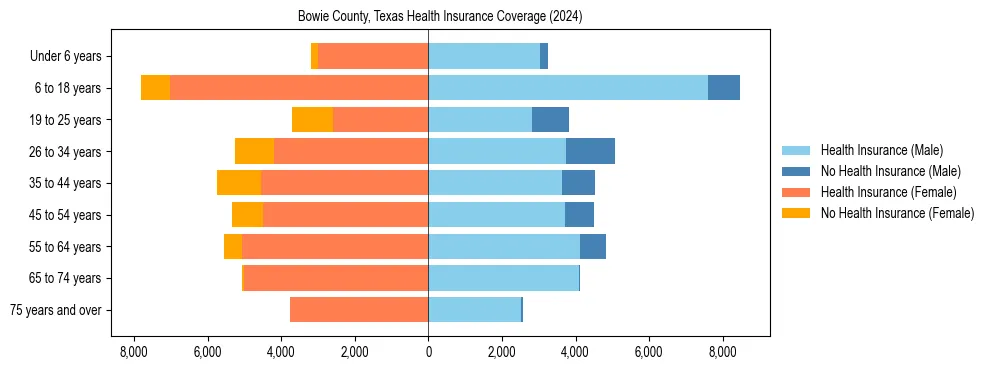 Health insurance pyramid for Bowie County, Texas