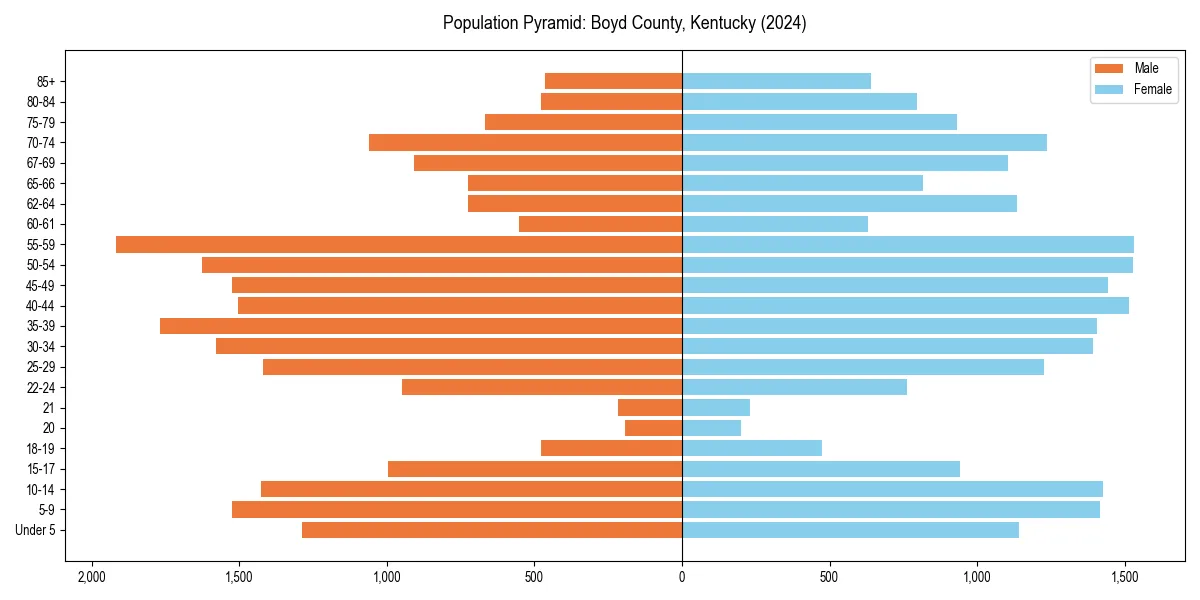 Population pyramid for 