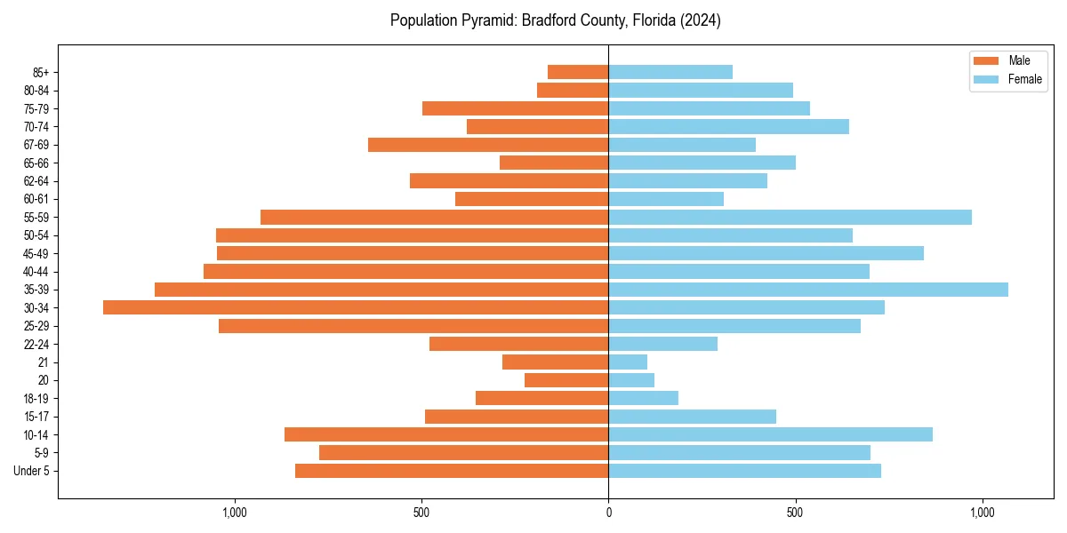 Population pyramid for 