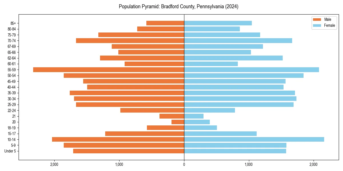 Population pyramid for 