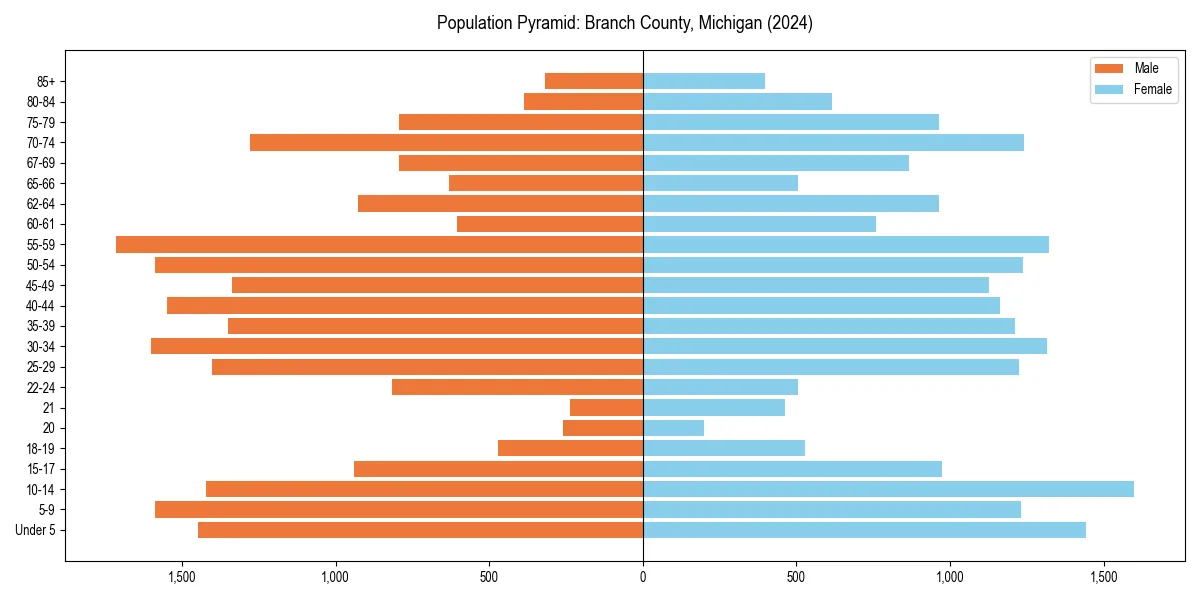 Population pyramid for 