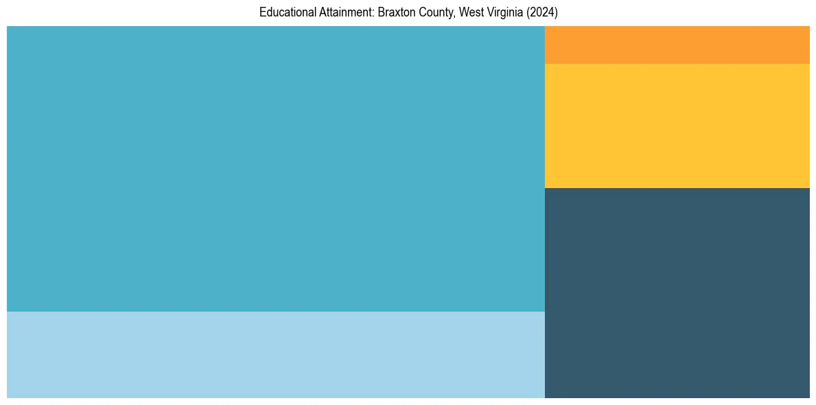 Education Treemap for  in 2024