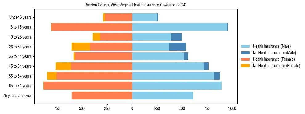 Health insurance pyramid for Braxton County, West Virginia