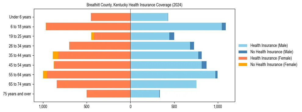 Health insurance pyramid for Breathitt County, Kentucky
