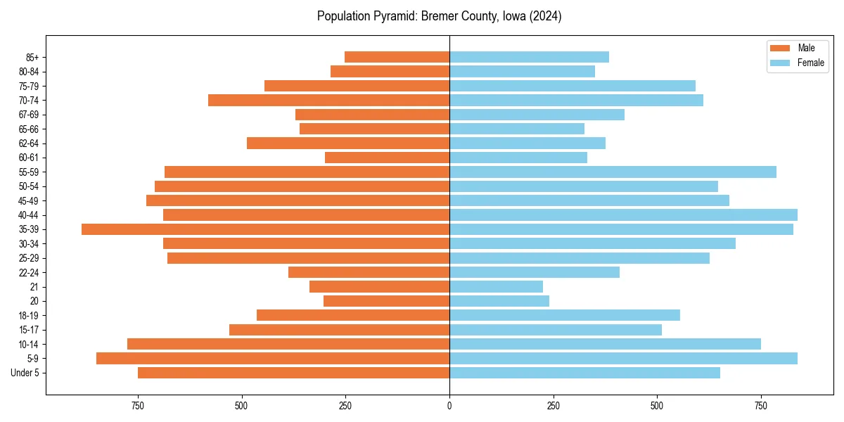 Population pyramid for 