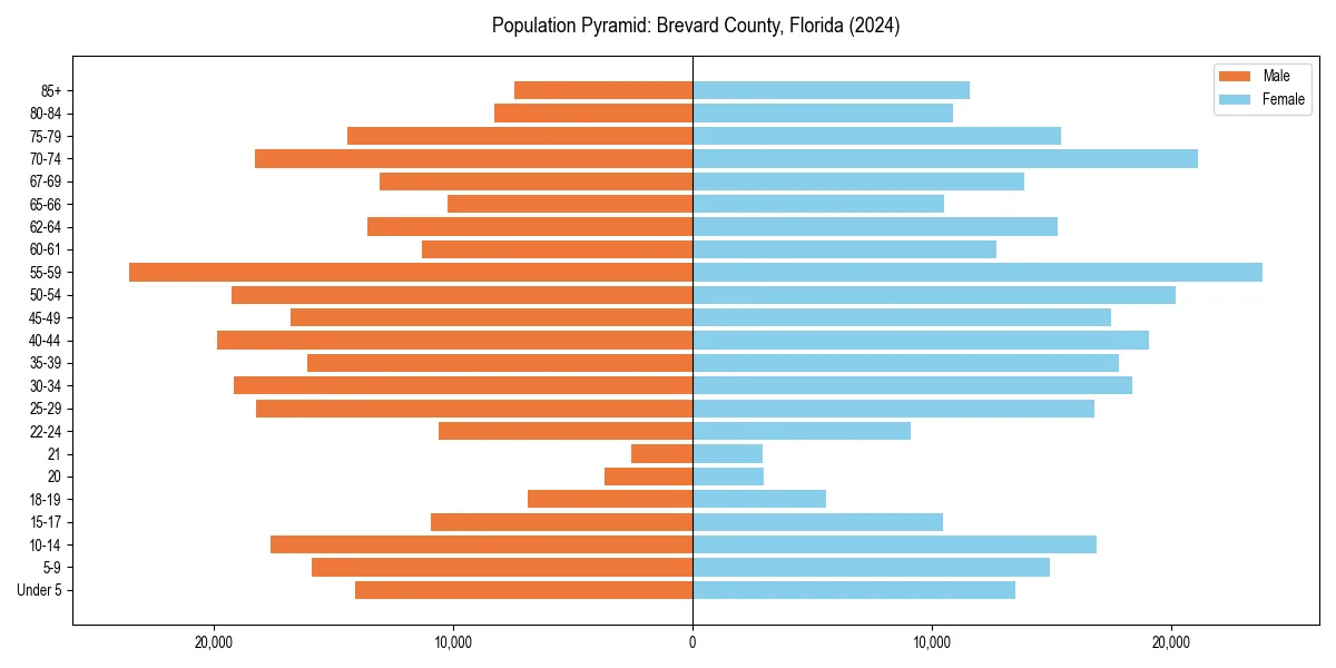 Population pyramid for 