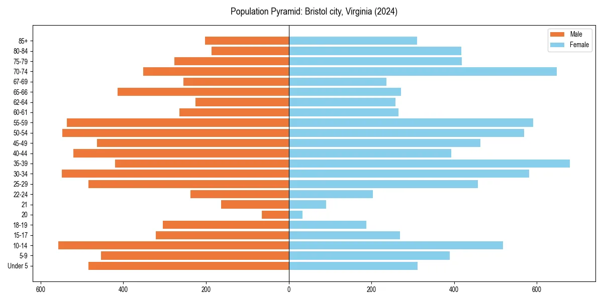 Population pyramid for 