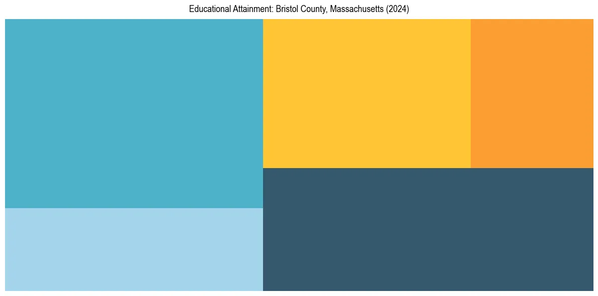 Education Treemap for  in 2024