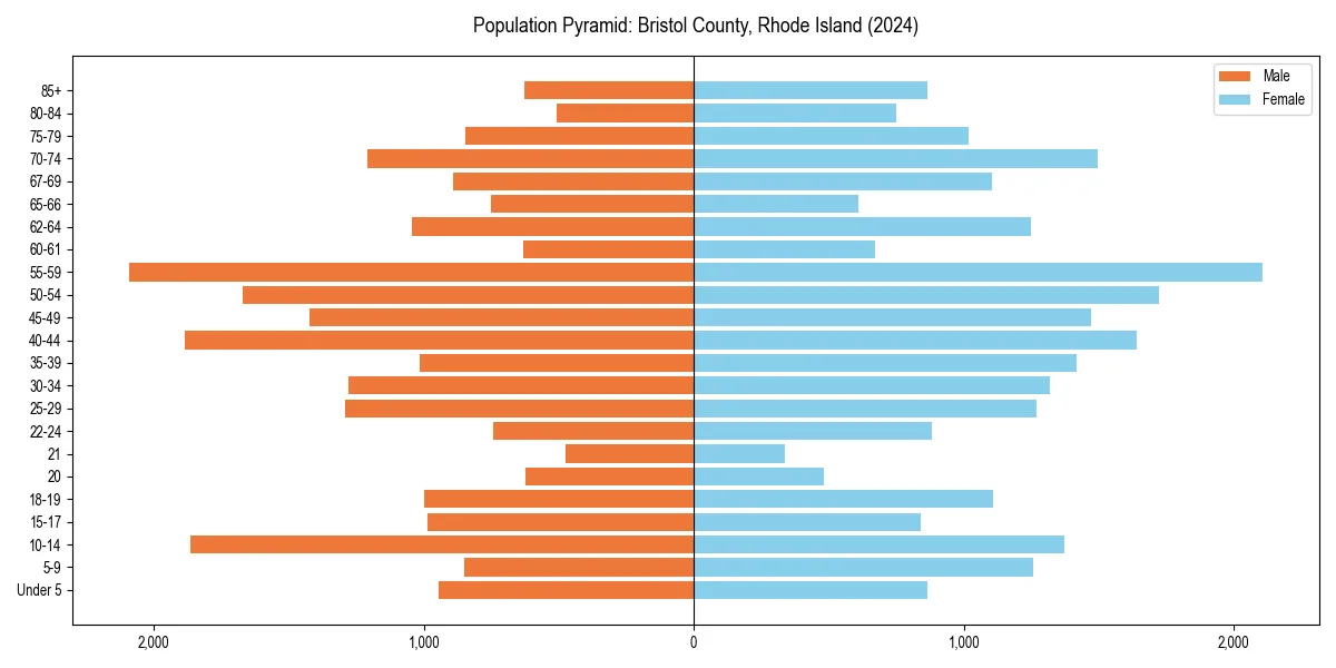 Population pyramid for 