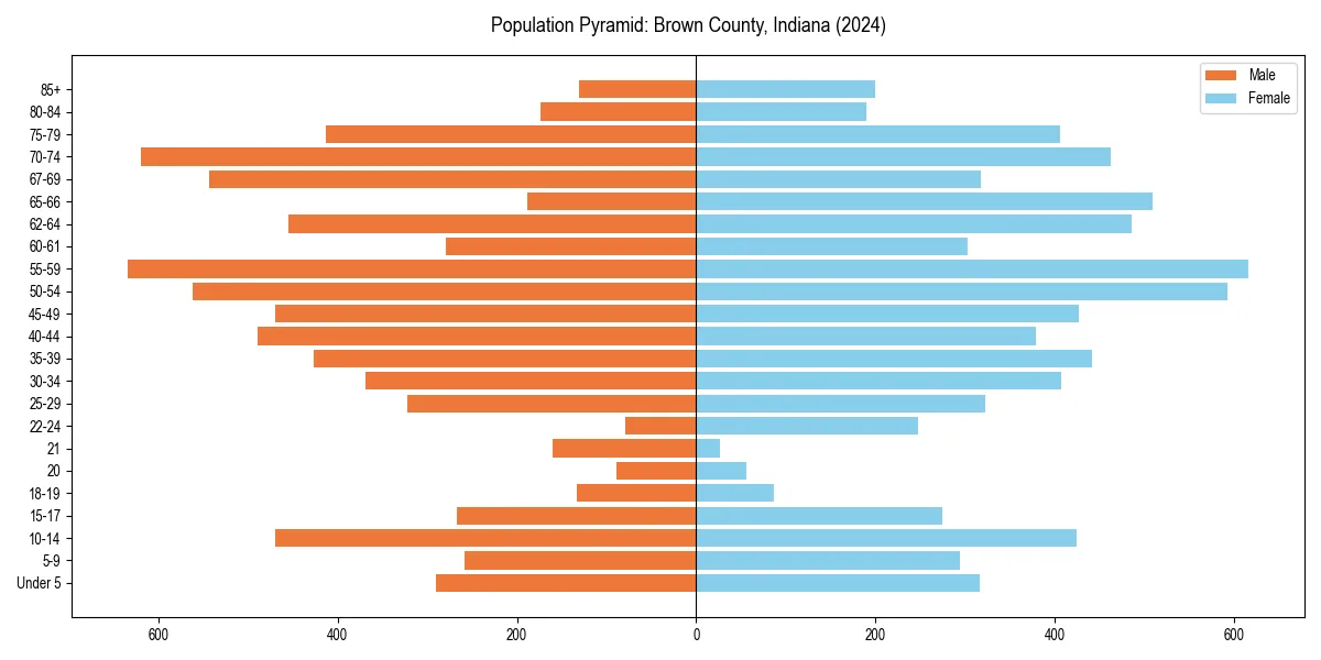 Population pyramid for 