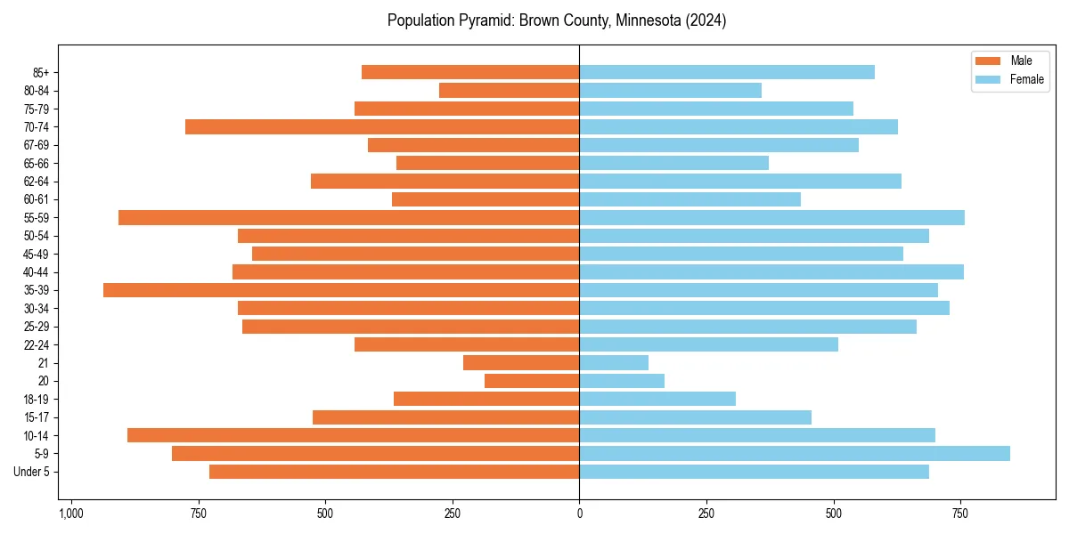 Population pyramid for 