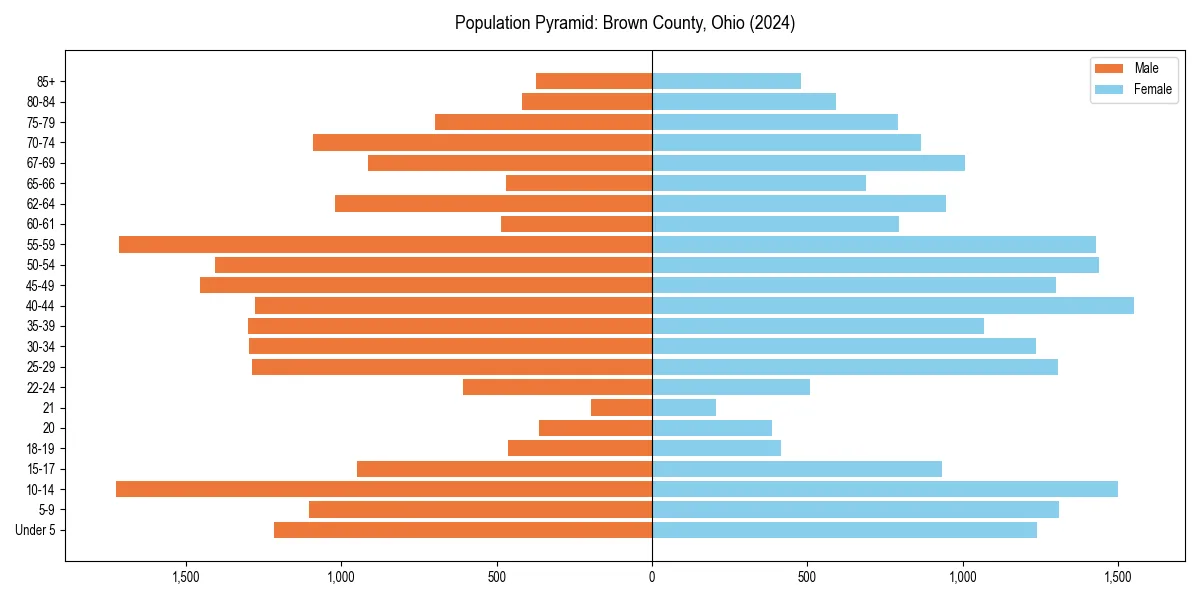Population pyramid for 