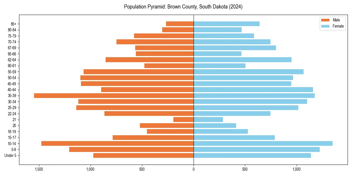 Population pyramid for 