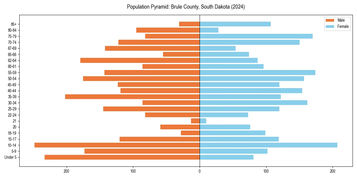 Population pyramid for 
