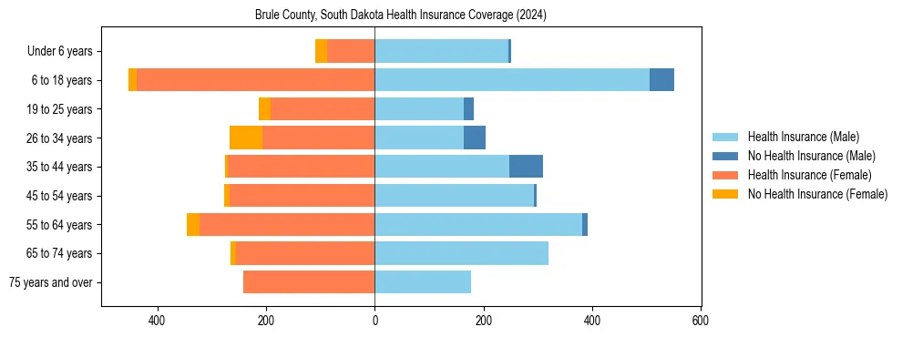 Health insurance pyramid for Brule County, South Dakota