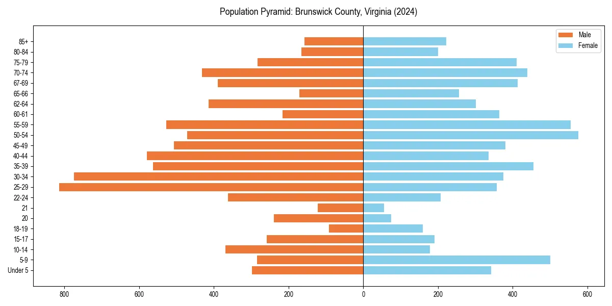 Population pyramid for 