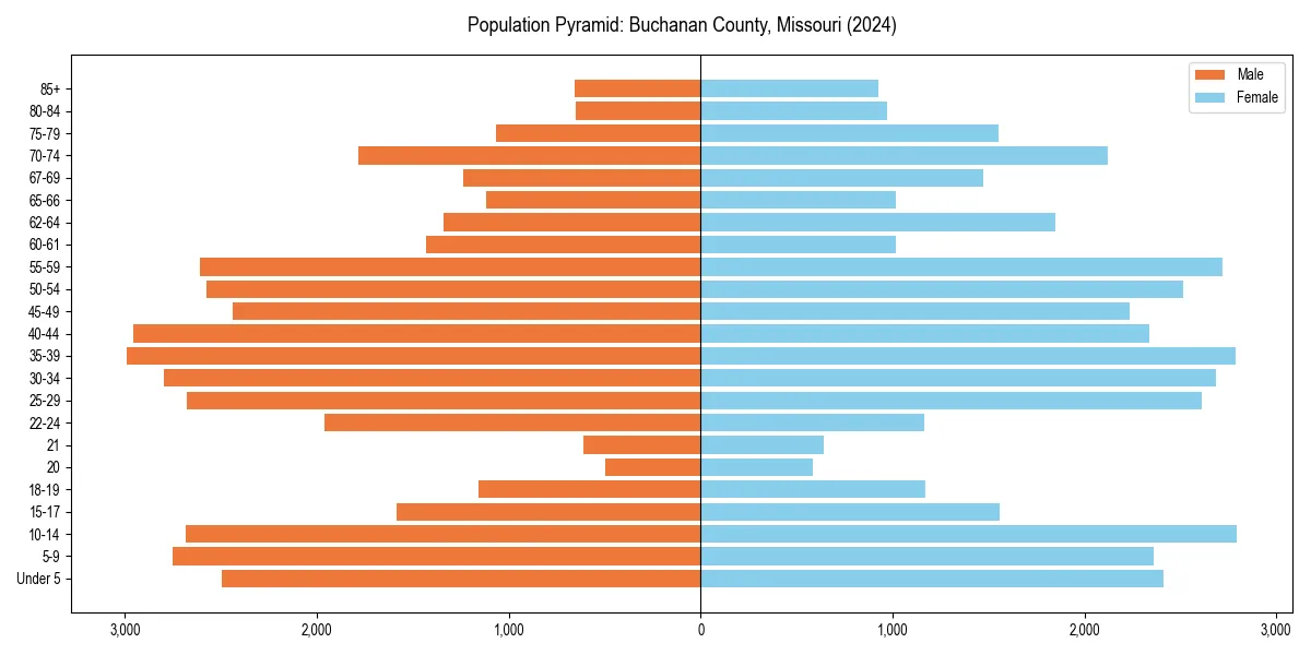 Population pyramid for 