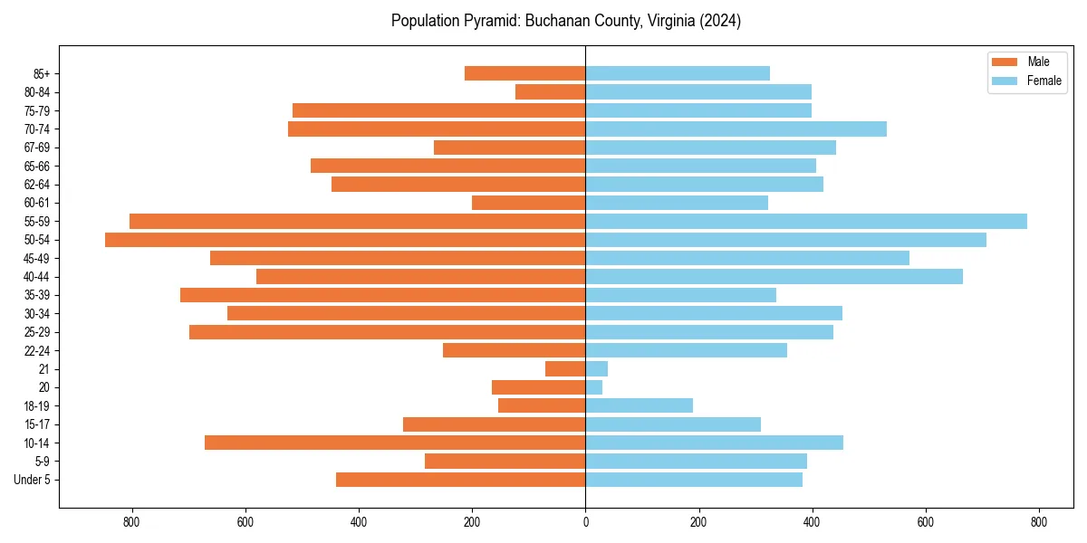 Population pyramid for 