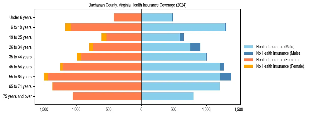 Health insurance pyramid for Buchanan County, Virginia