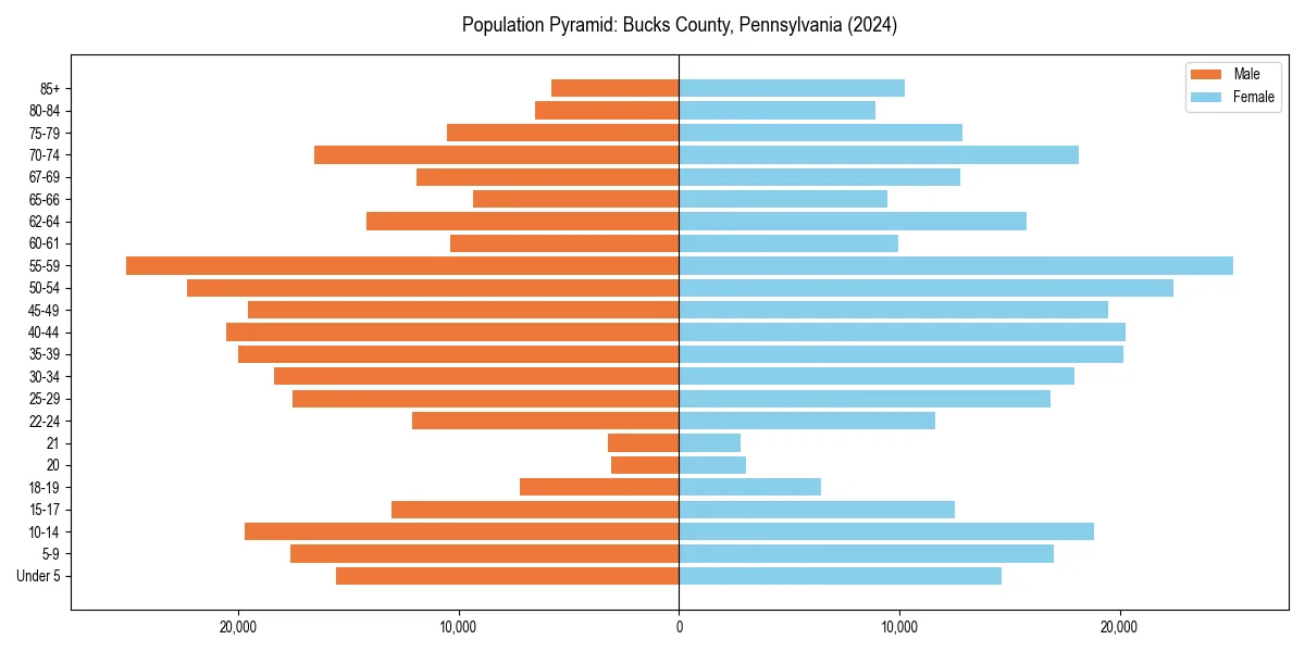 Population pyramid for 