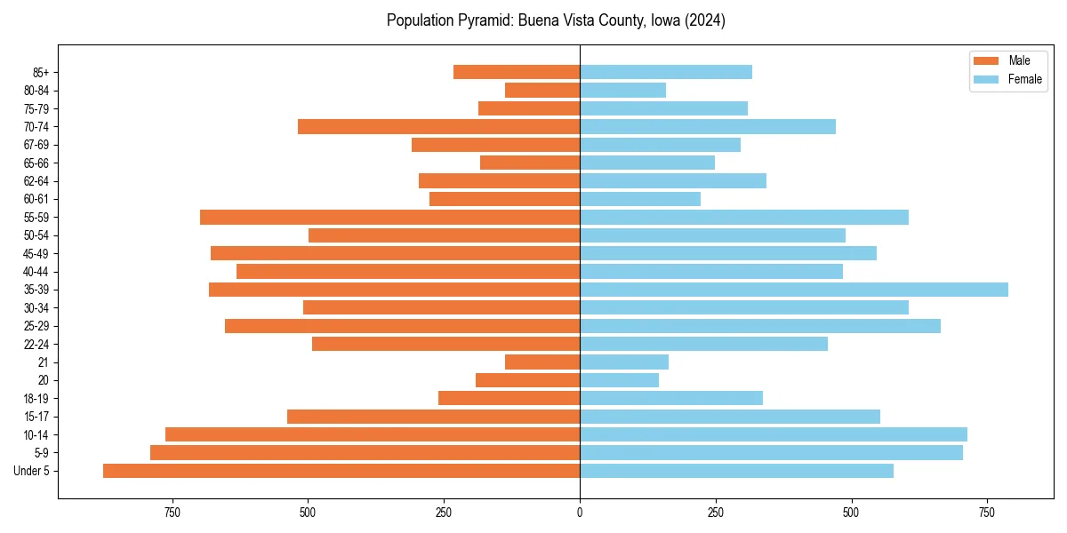 Population pyramid for 