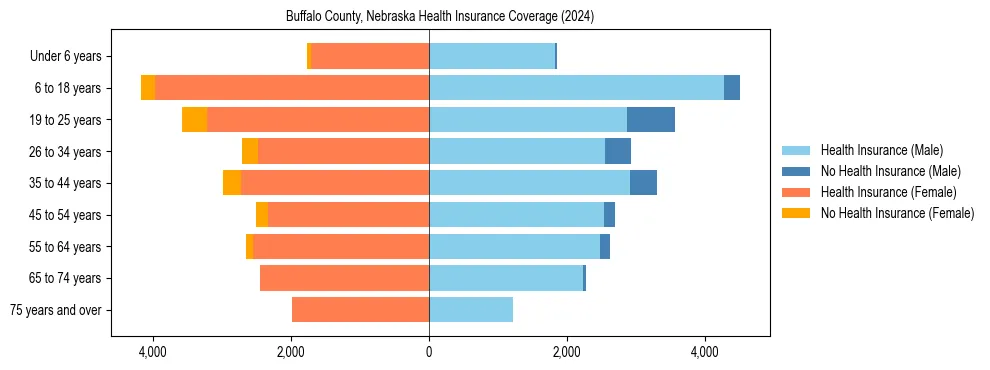 Health insurance pyramid for Buffalo County, Nebraska