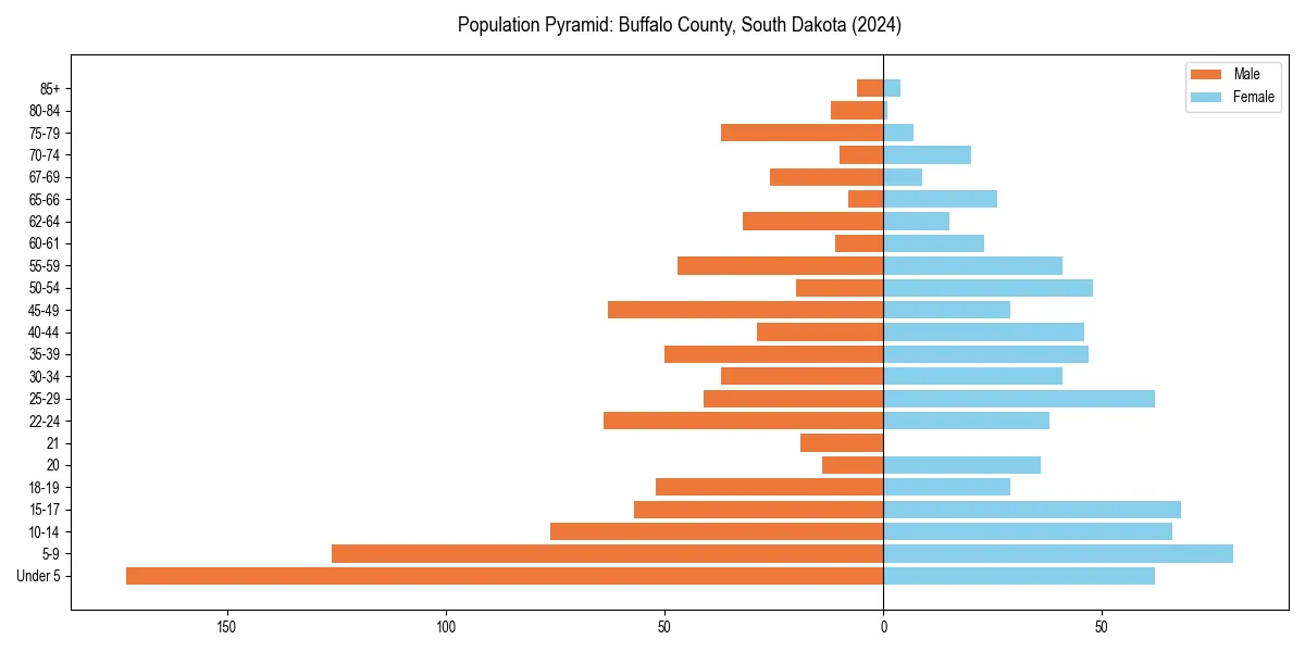 Population pyramid for 
