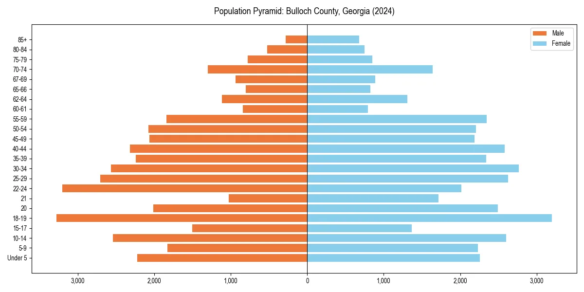 Population pyramid for 