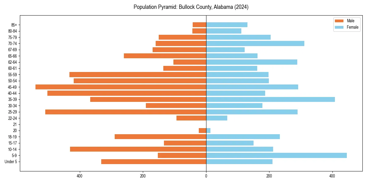 Population pyramid for 