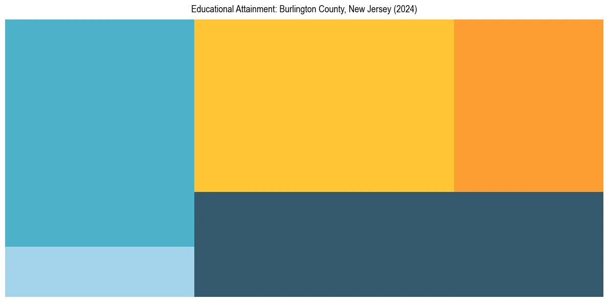 Education Treemap for  in 2024