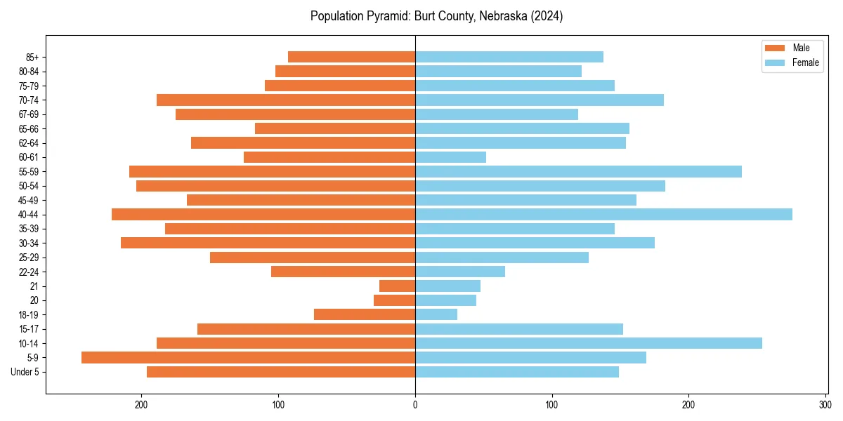 Population pyramid for 