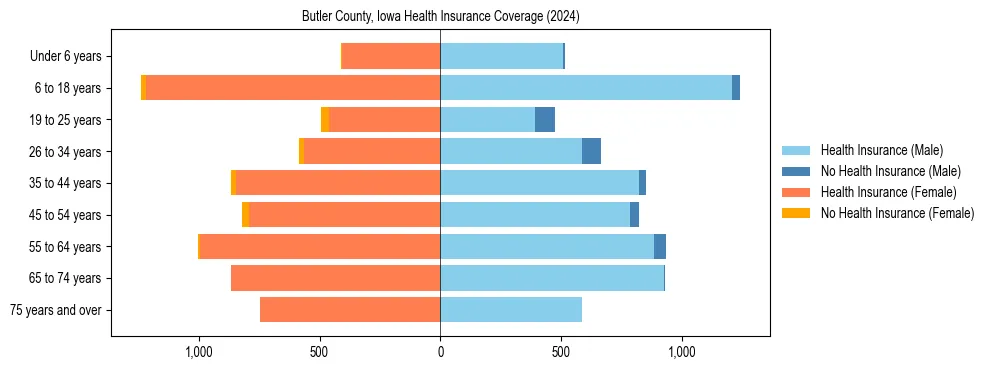 Health insurance pyramid for Butler County, Iowa