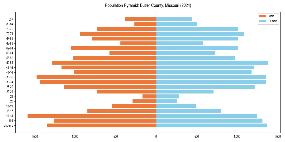 Population pyramid for 