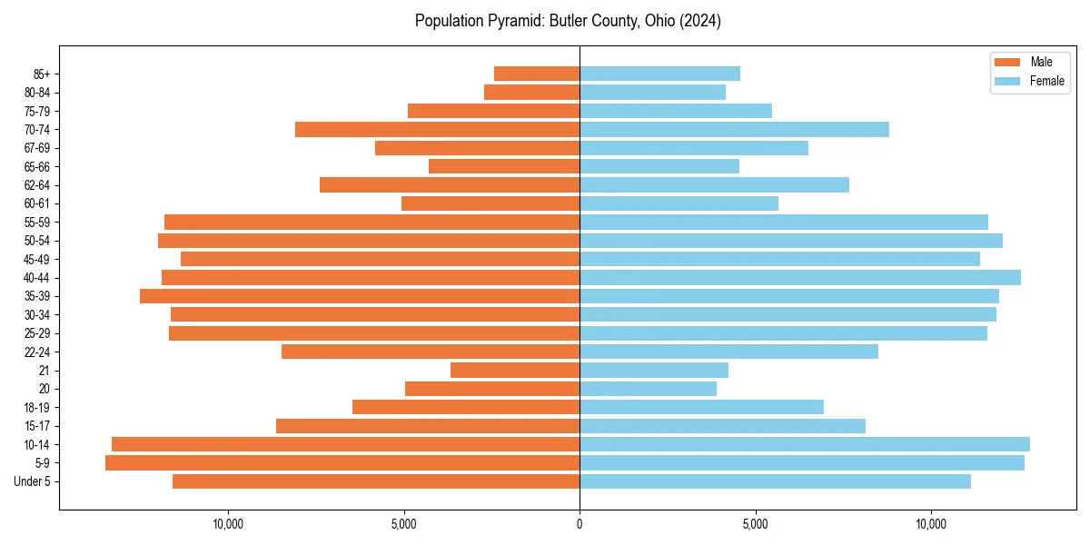 Population pyramid for 