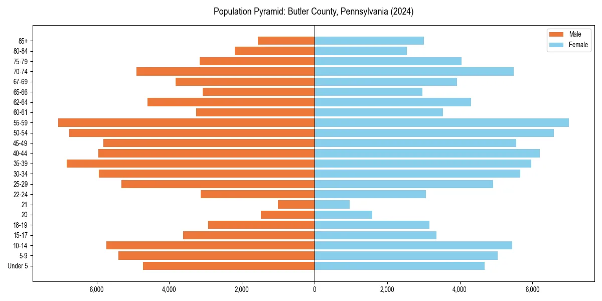 Population pyramid for 
