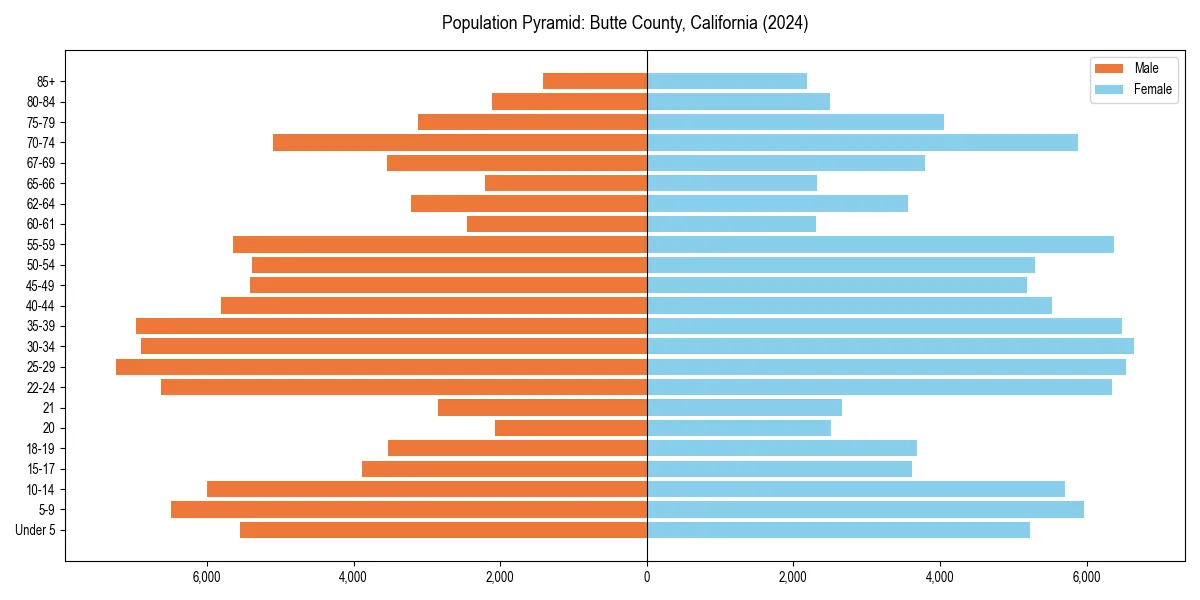 Population pyramid for 